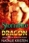 [Dragons In Shadow Point 02] • Stormfire Dragon